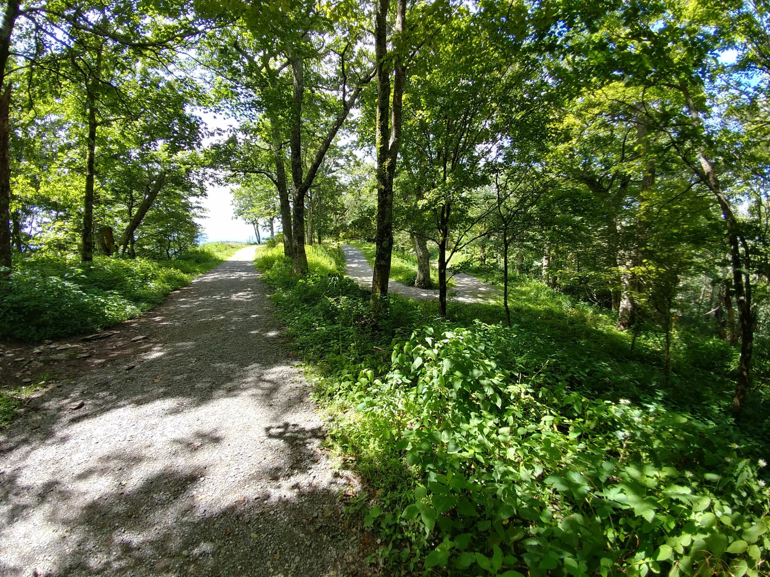Finding Less Traveled Trails – How to Leave The Crowds Behind