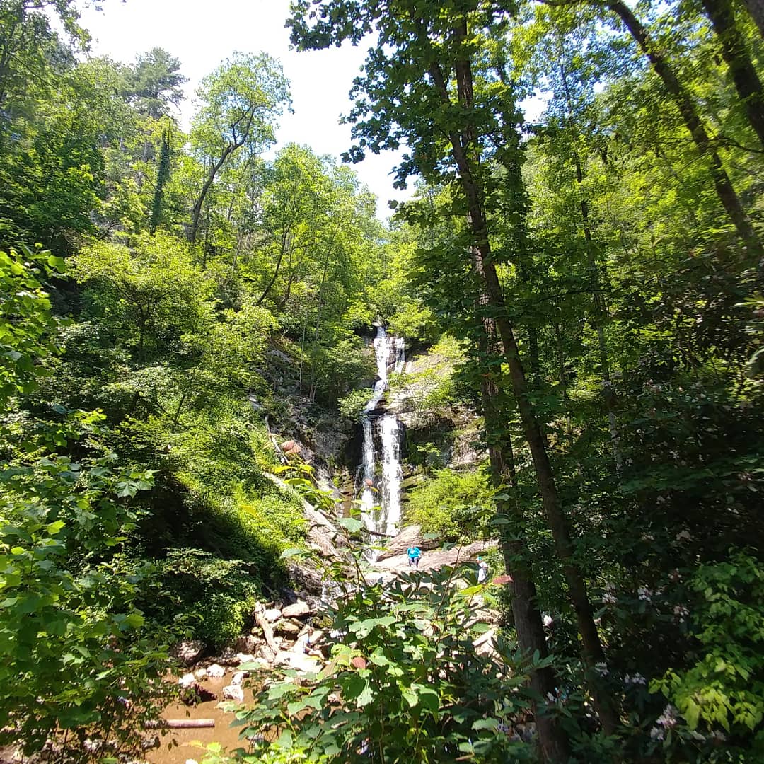 famBeta: Toms Creek Falls