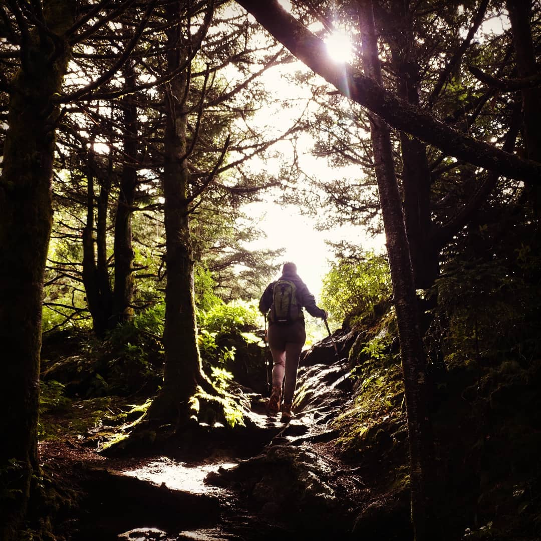 Hiking in the Clouds at Mount Mitchell State Park